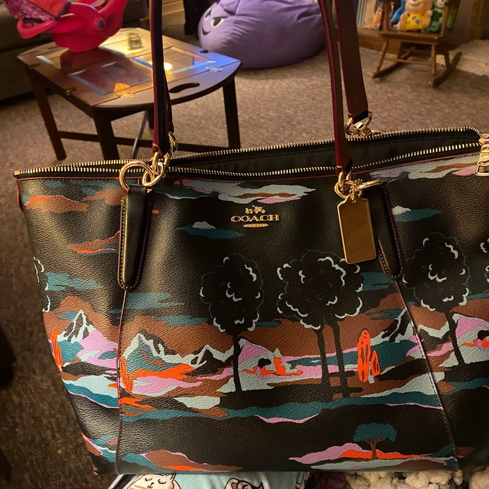 Coach handbag
